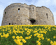Clifford's Tower photo 1