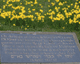Jewish memorial York